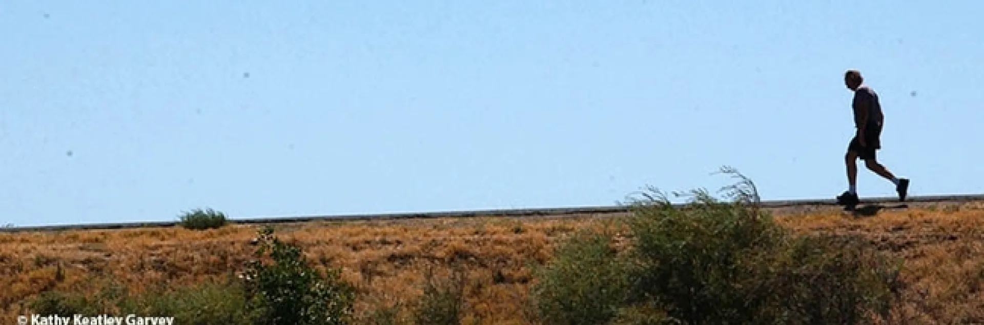 Human hibernation and longevity will be the topic of UC Davis distinguished professor James R. Carey's quest for research papers. (Photo by Kathy Keatley Garvey)