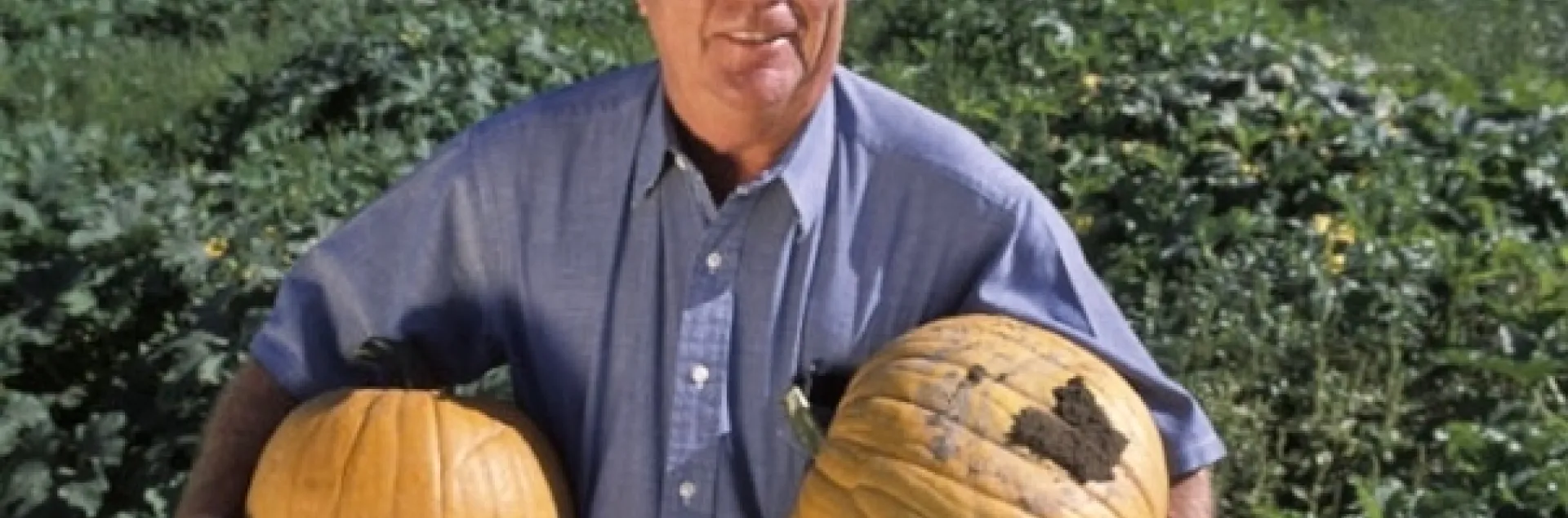 Charlie Summers holds orange pumpkins in each arm while standing in a green field.