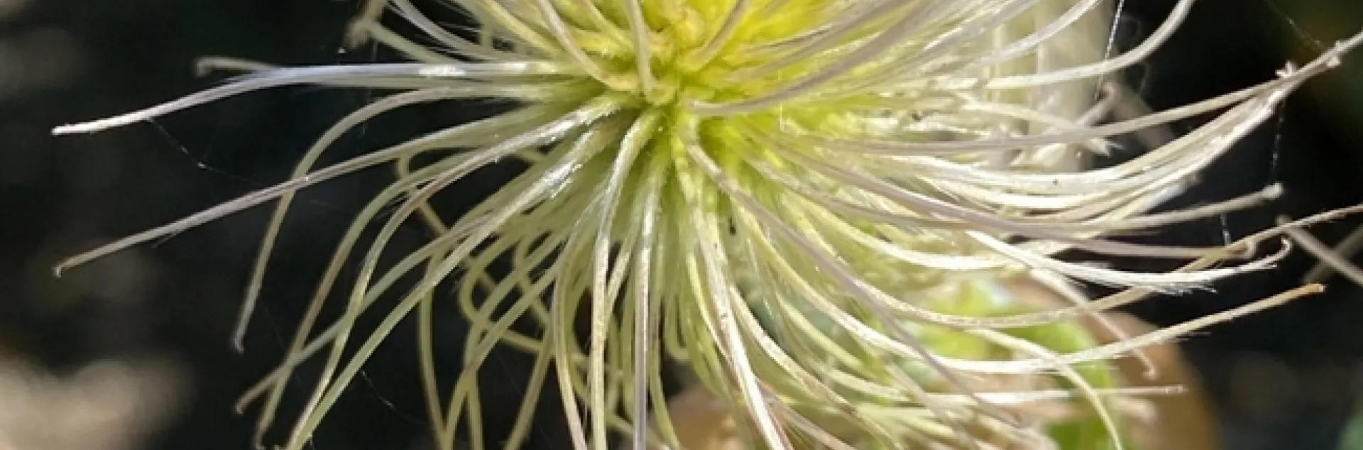 photos by Erin Mahaney