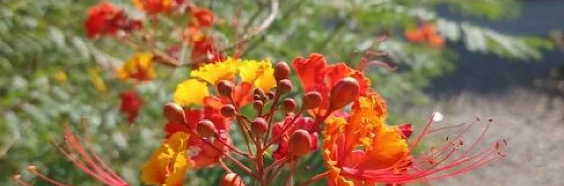 photos by Jenni Dodini