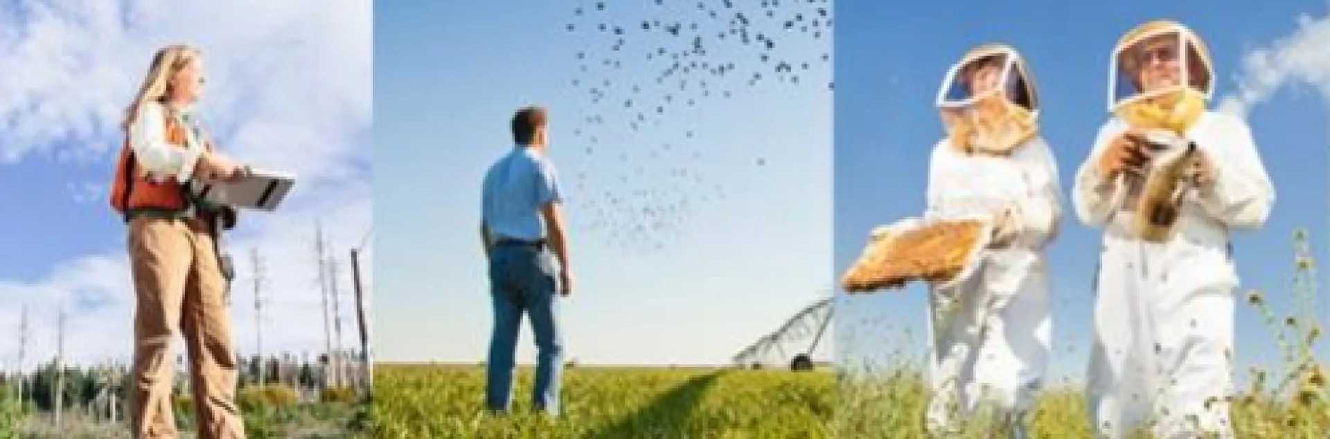 UCANR banner collage 3 pic