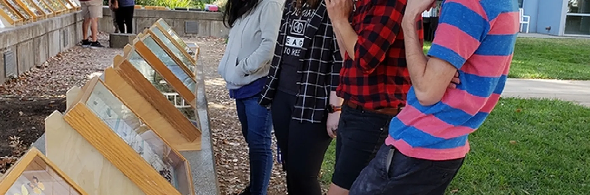 As part of Aggie Pride Week or Spirit Week, the Bohart Museum displayed some of its insect specimens.