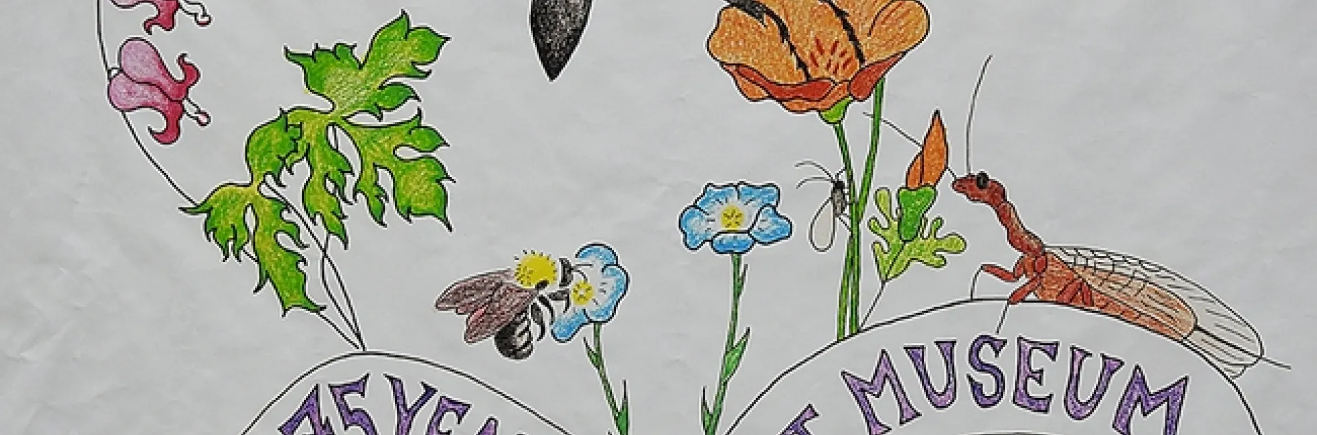 Christine Melvin's art work, transformed into a banner for the Bohart Museum of Entomology's 75th anniversary, features a hover fly, sphecid wasp, snake fly, bumble bee, aphid, twisted wing parasite and a tardigrade (water bear).