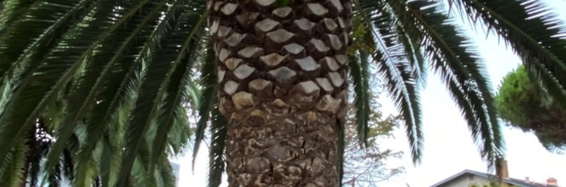 photos by Erin Mahaney