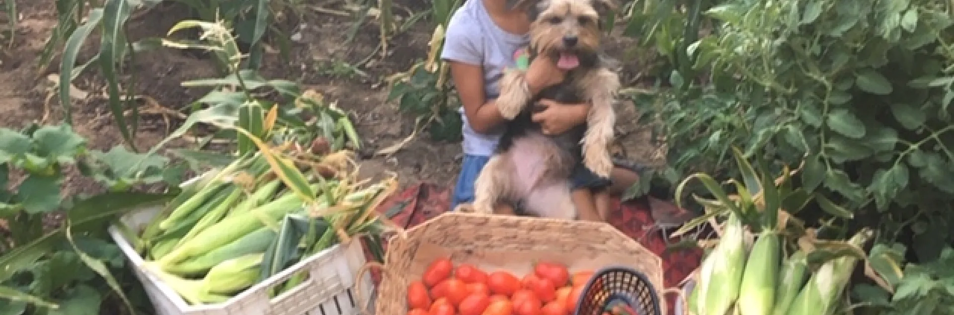 Gardens promote health