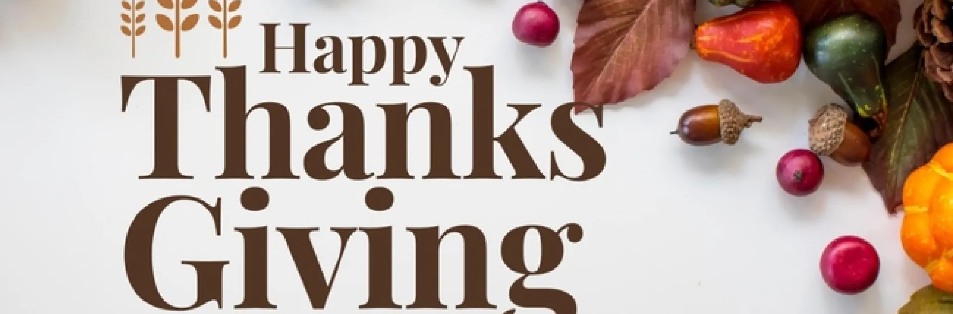 Happy Thanksgiving!