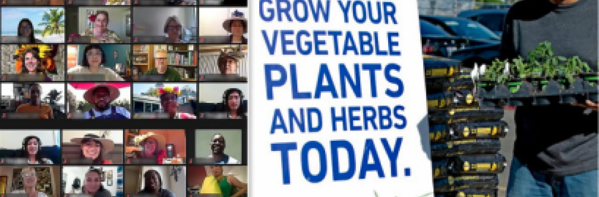On the left is a Zoom gallery of faces. On the right is a man wearing a face mask holding a flat of seedlings beside a sign that reads, "Grow your vegetables and herb plants today."