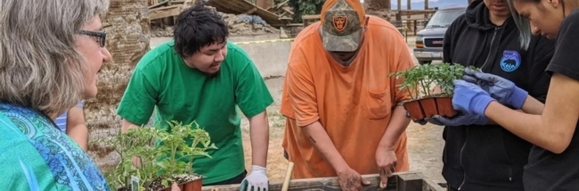 People hold green seedlings to plant.