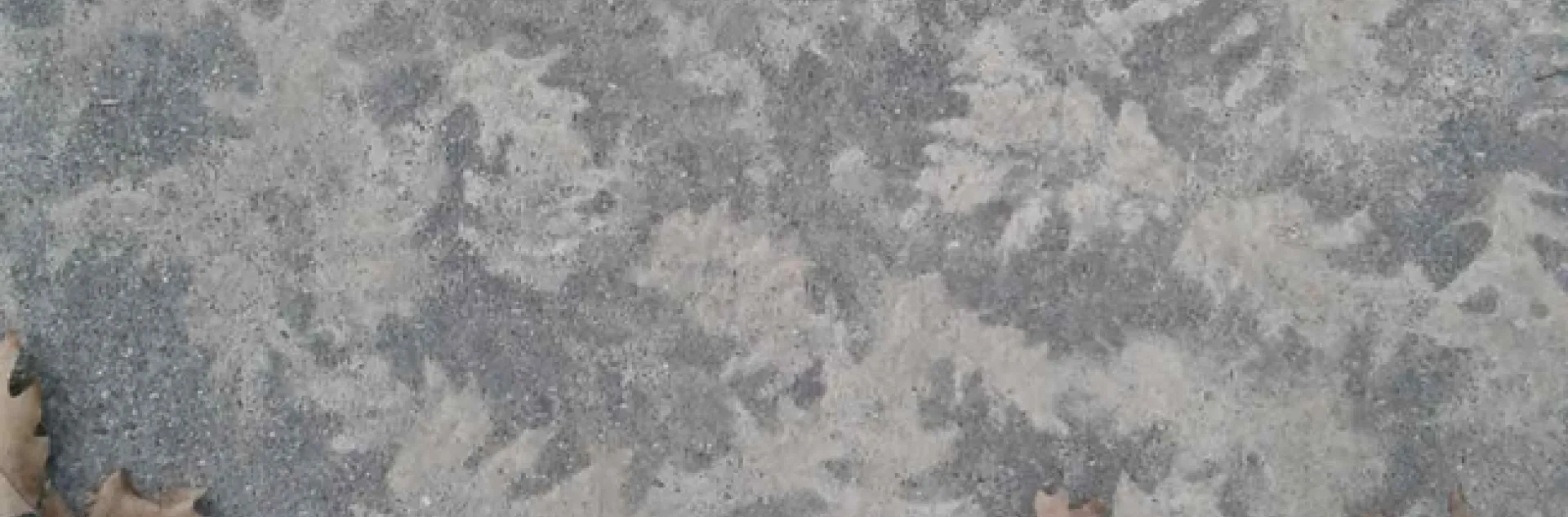 photos by Launa Herrmann