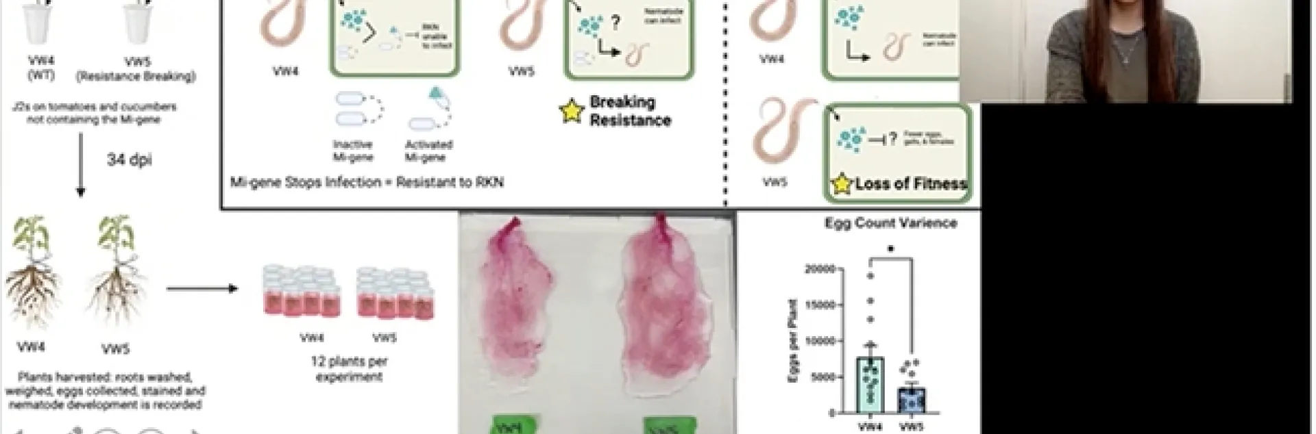 This is a screen shot of Alison Coomer's first-place presentation in the IFNS 3-Minute Thesis.