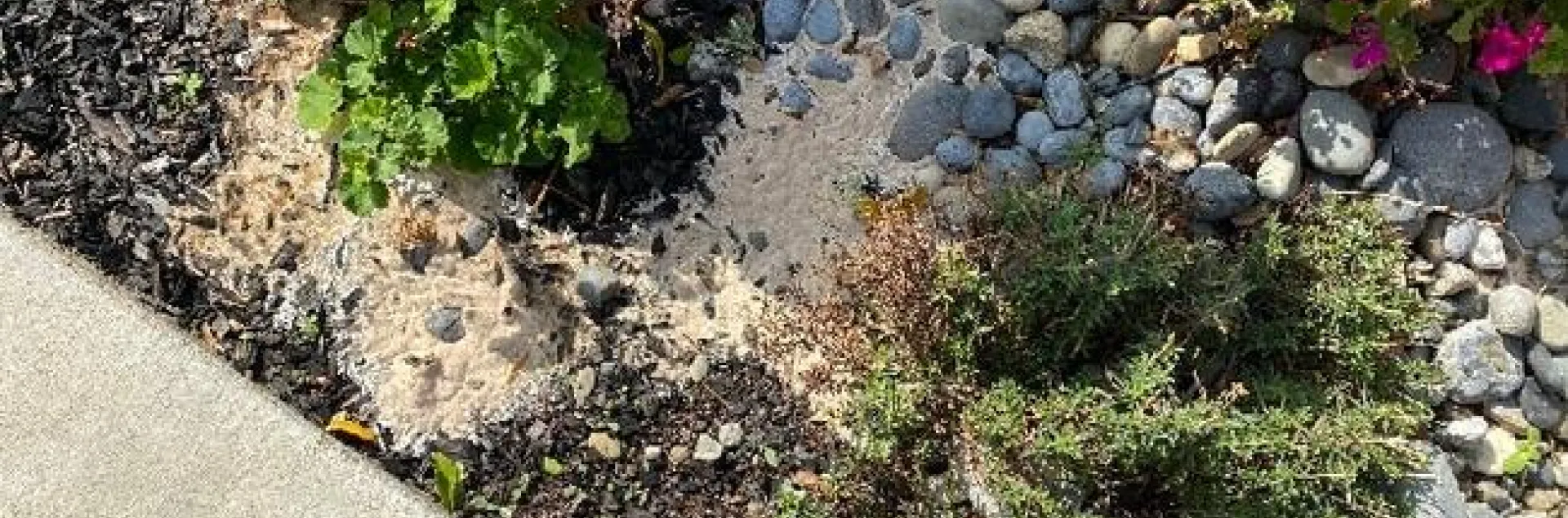 photo by Dave Bellamy