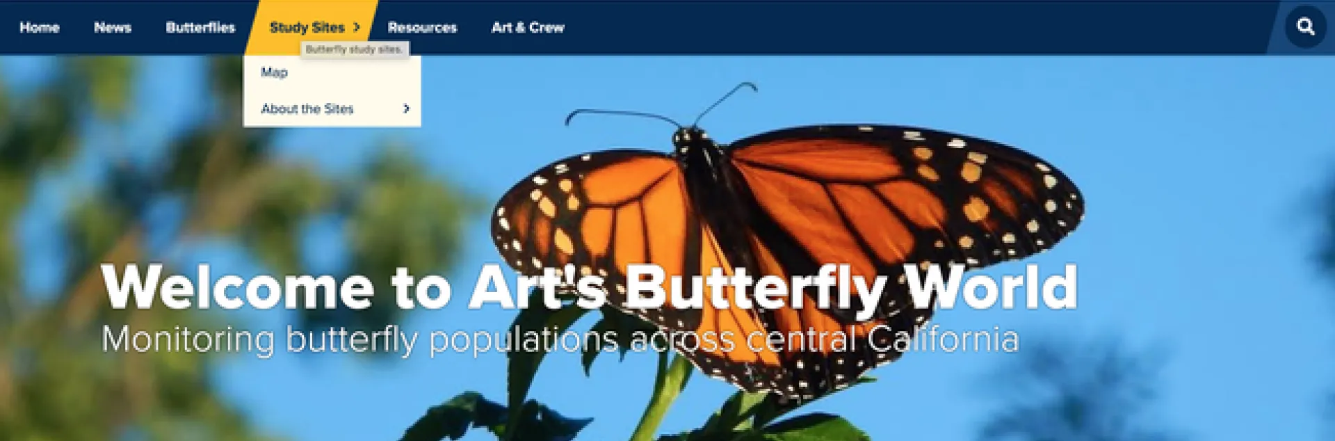 A screen shot of Art Shapiro's butterfly site at http://butterfly.ucdavis.edu/