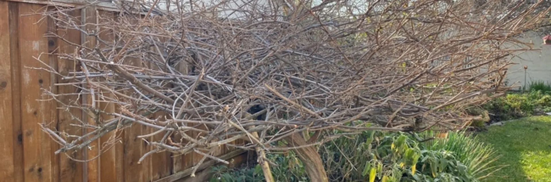 photo by Mike Gunther