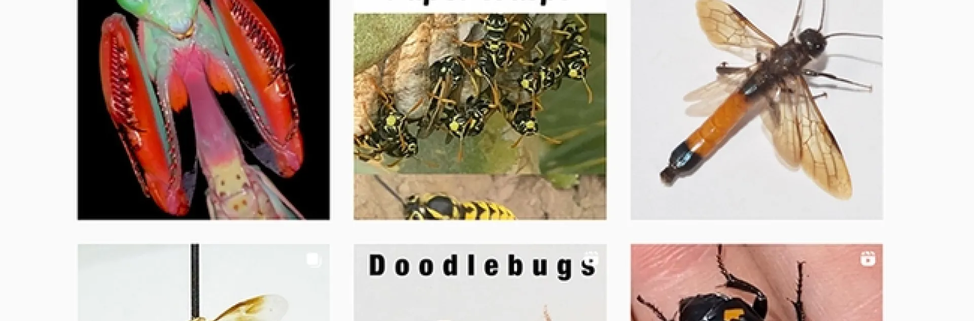 Gwen Erdosh's Instagram account; more than 22,000 fans follower her.