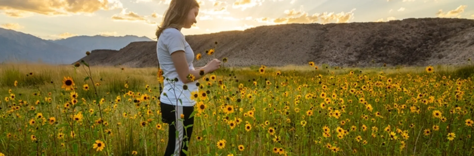 Blonde girl gazes down at a sunflower while standing in a field of sunflowers. Mountains and clouded skies in background.