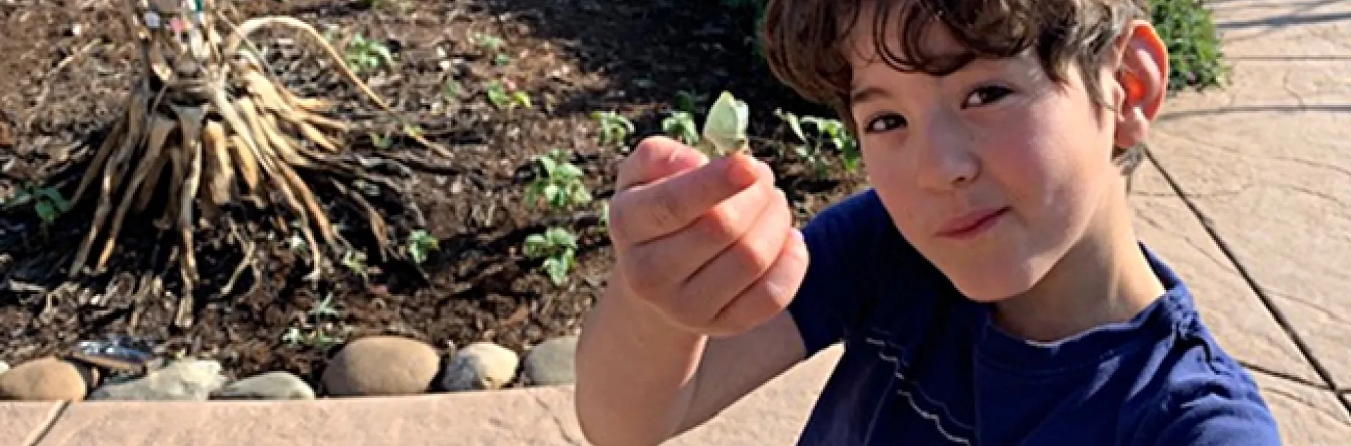 Asher Schneider, 8, of Davis, holds his "runner-up" cabbage white butterfly.