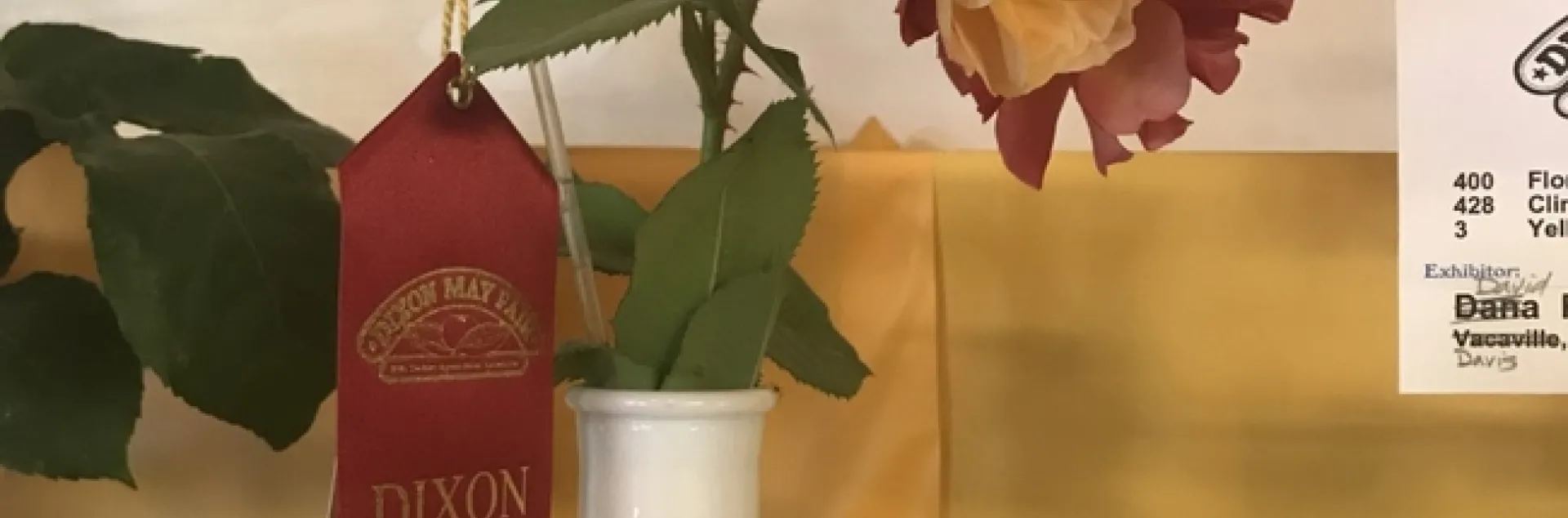 photos by Jennifer DeDora