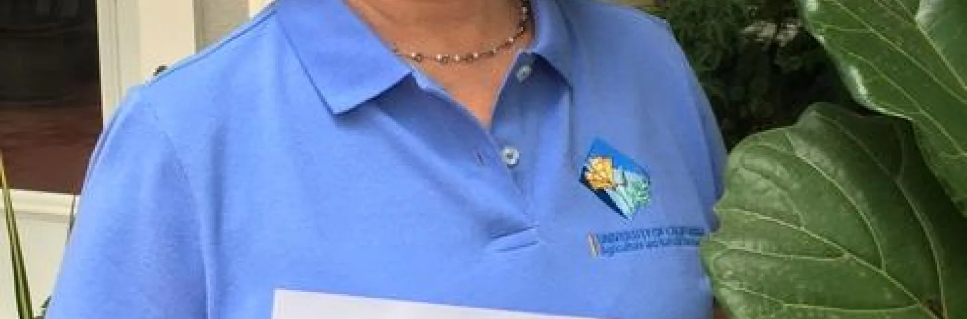 MG Picture Julie Dillon