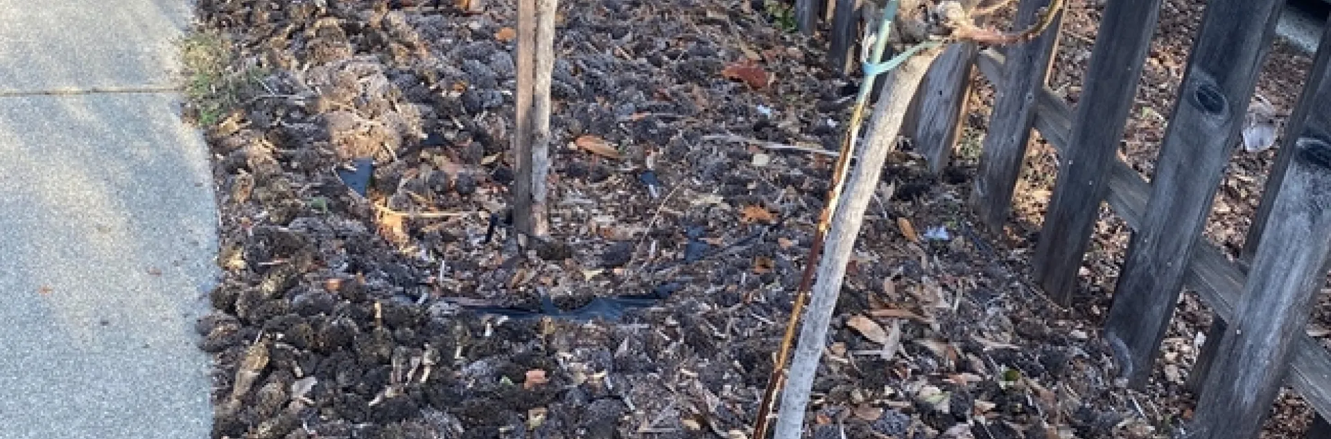 photos by Melissa Sandoval