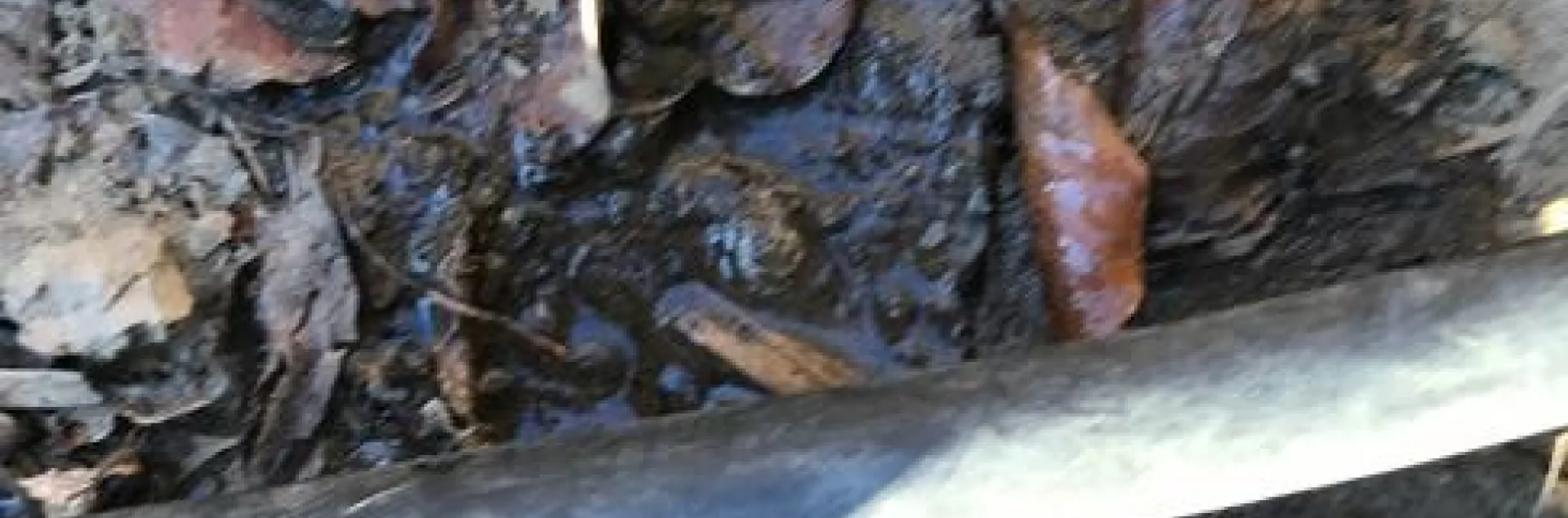 Cracked and leaking hose. photos by Janet Snyder