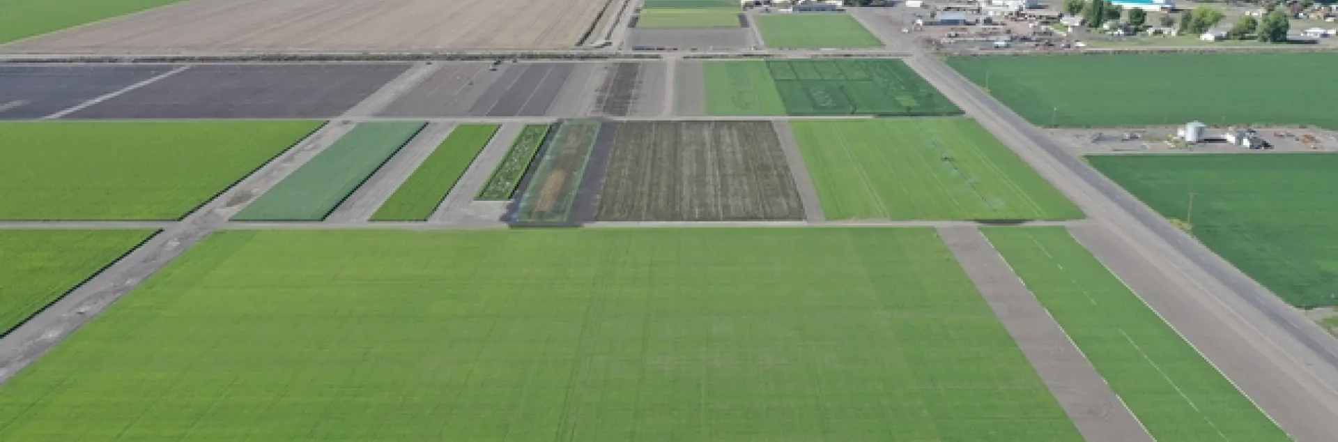 Green squares of crop land in foreground and unplanted brown land in upper left. Buildings dot the landscape in upper right.