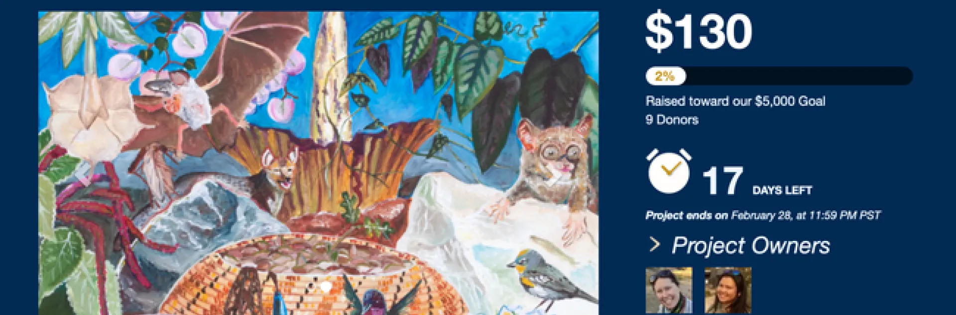 A newly announced UC Davis Crowdfunding Project will help support the UC Davis Biodiversity Museum Day. Crowdfunding ends at 11:59 p.m., Feb. 28.