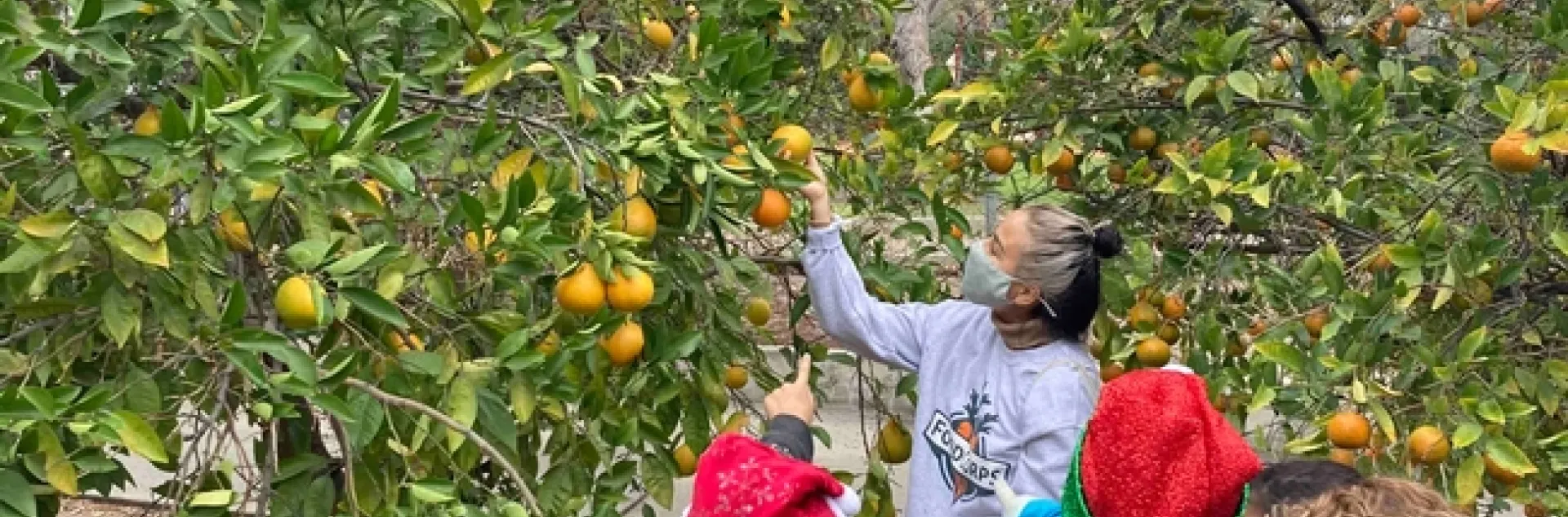 FoodCorps lessons in the garden