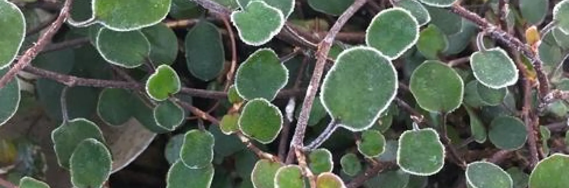 photos by Jennifer Baumbach