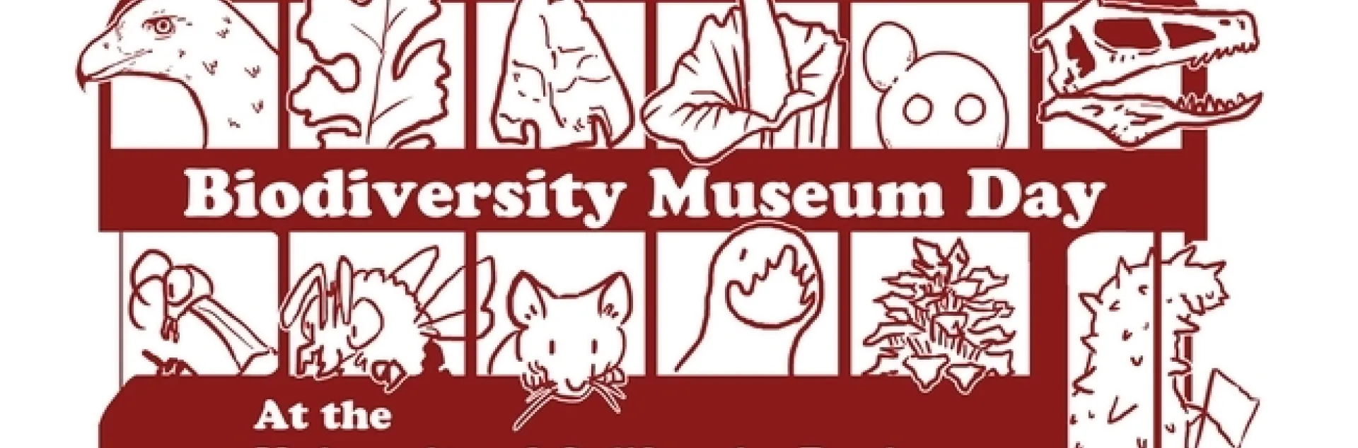 The 2022 UC Davis Biodiversity Museum Day will feature 11 museums or collections, represented on this bus graphic by Ivana Li, UC Davis biology lab manager. (The Marine Invertebrate collection will not be represented but a sea cucumber hitched a ride anyway).