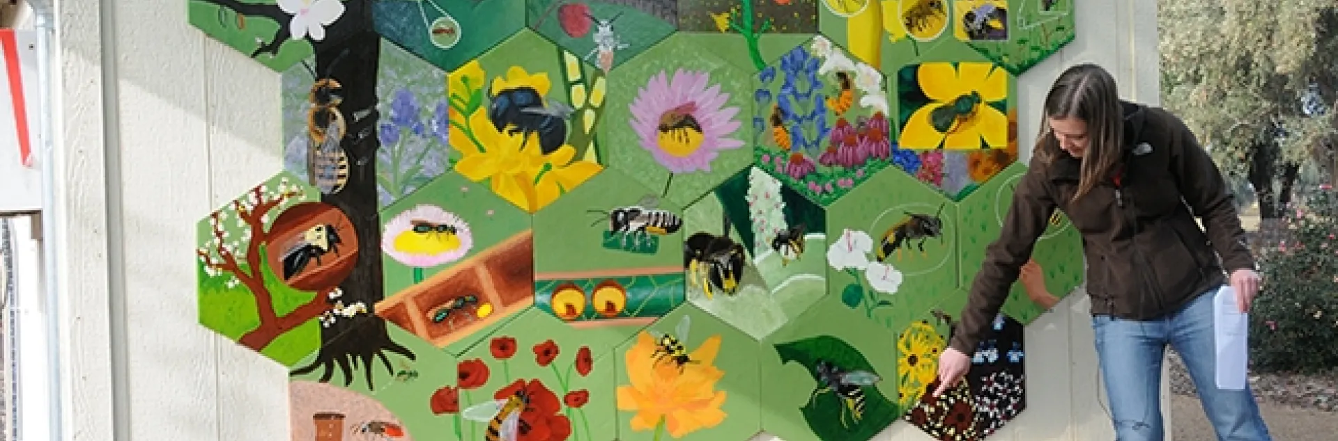 In 2011, then UC doctoral student Sarah Dalrymple (shown) coordinated the bee mural in the UC Davis Bee Haven. It mostly features native bees. (Photo by Kathy Keatley Garvey)