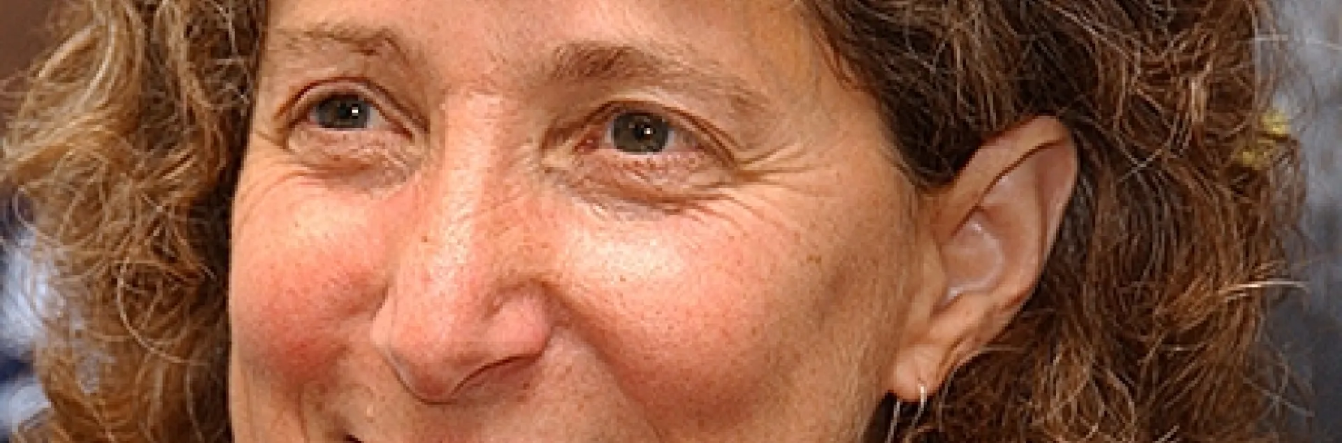 Professor Diane Ullman