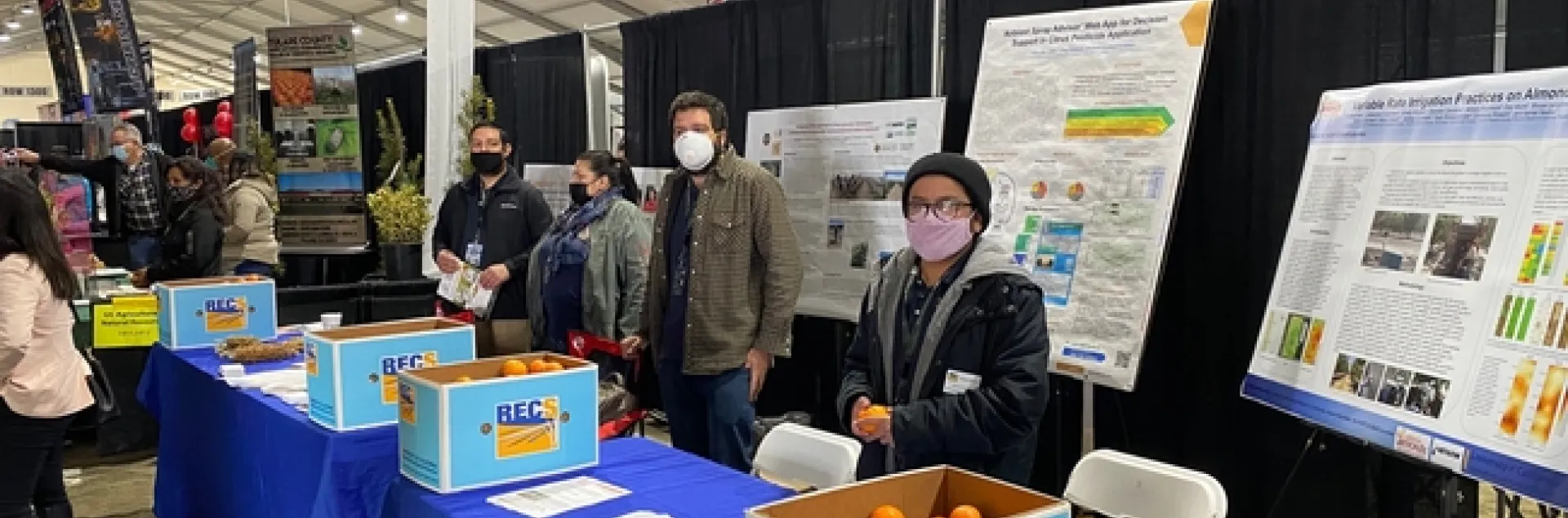 The four people wear face masks and stand behind a table with boxes of mandarins. Behind them are research posters on easels.