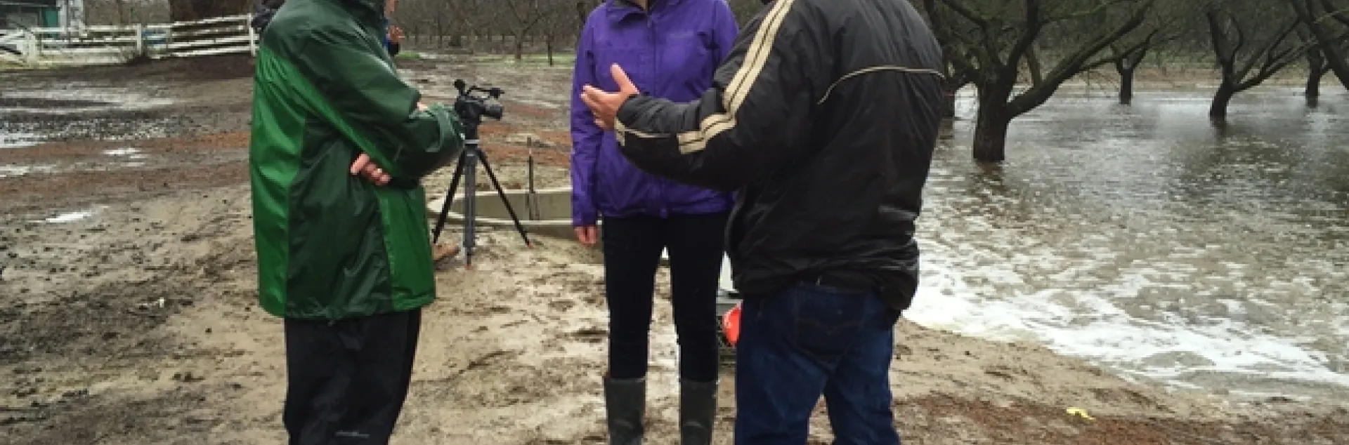From left, Ken Shackel, Helen Dahlke and Roger Duncan discuss groundwater recharge in an almond orchard in 2016.