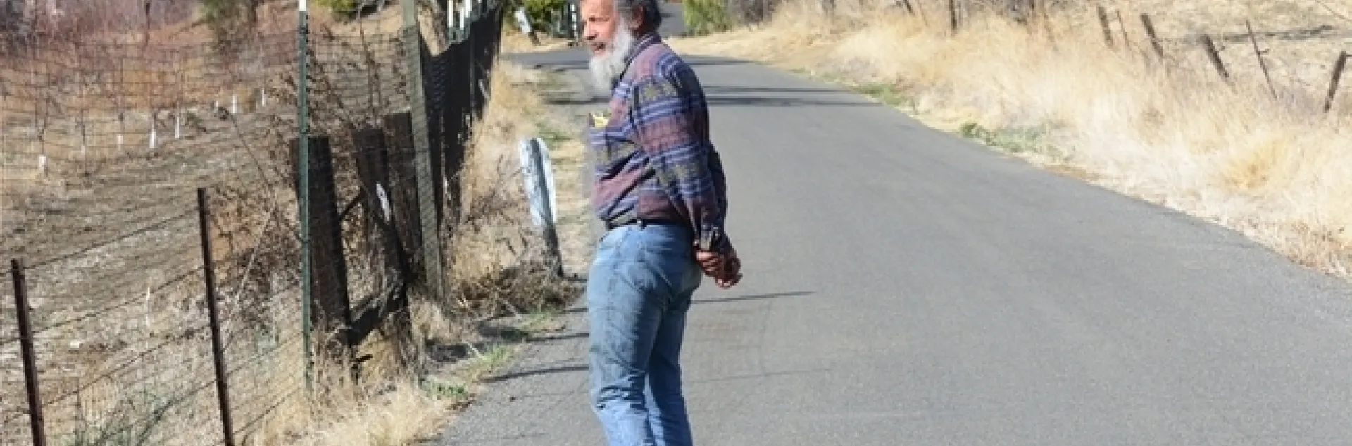 One of Art Shapiro's monitoring sites is Gates Canyon, Vacaville. Here he looks for butterflies in this image taken on Jan. 25, 2014. (Photo by Kathy Keatley Garvey)