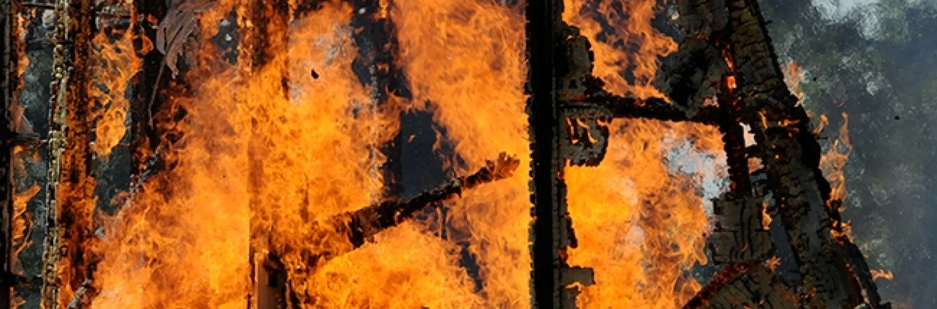 Every year, some 10,000 burn victims in the United States undergo an acute inflammatory reaction and die of burn-related infections, according to the Centers for Disease Control and Prevention. This image is of a UC Davis Fire Department control burn of an abandoned home-turned lab. It was last used as an avian lab research facility. (Photo by Kathy Keatley Garvey)