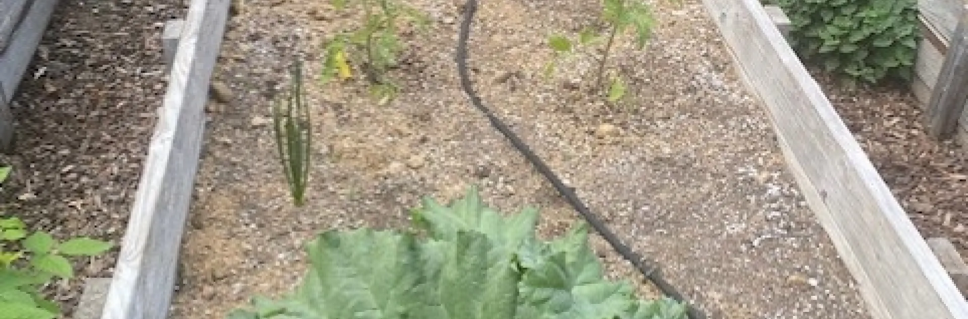 photo by Mike Gunther