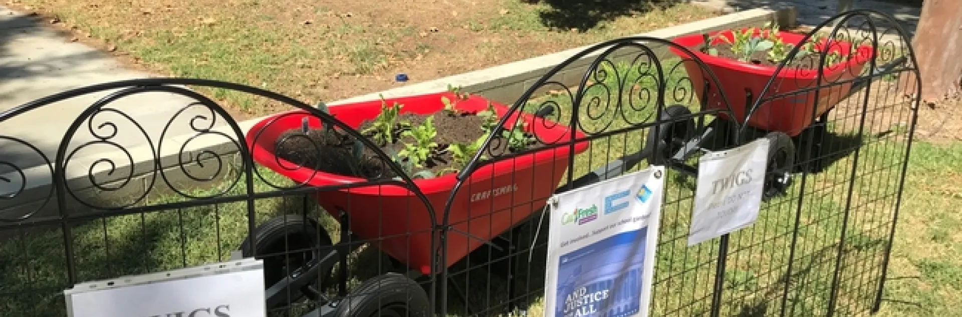 Los huertos sobre carretillas benefician a toda la población estudiantil en Villegas al darle brillo al campus. Fotografía por Daisy Valdez.