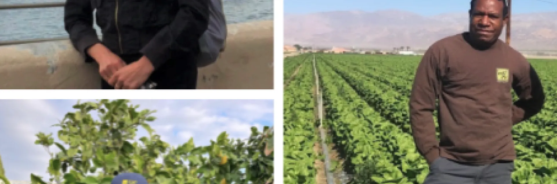 Help our new colleagues get off to a strong start and recruit more talented people to join UC ANR. From top clockwise: Recent hires Amira Resnick Philip Waisen Hung Doan