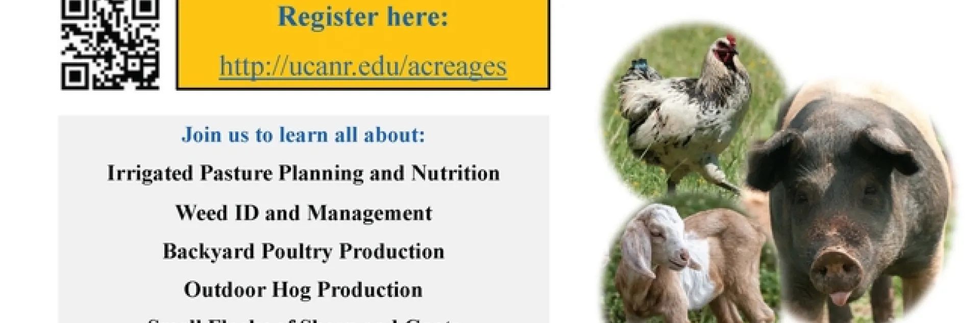 Spring Webinar Series flyer 2022