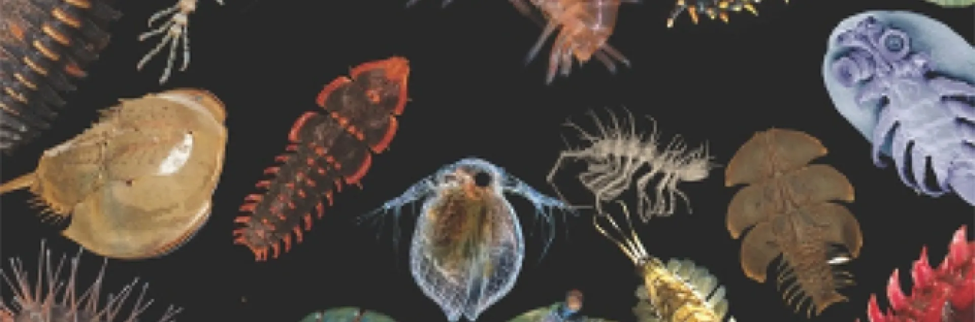 This illustration is part of Heather Bruce's seminar.