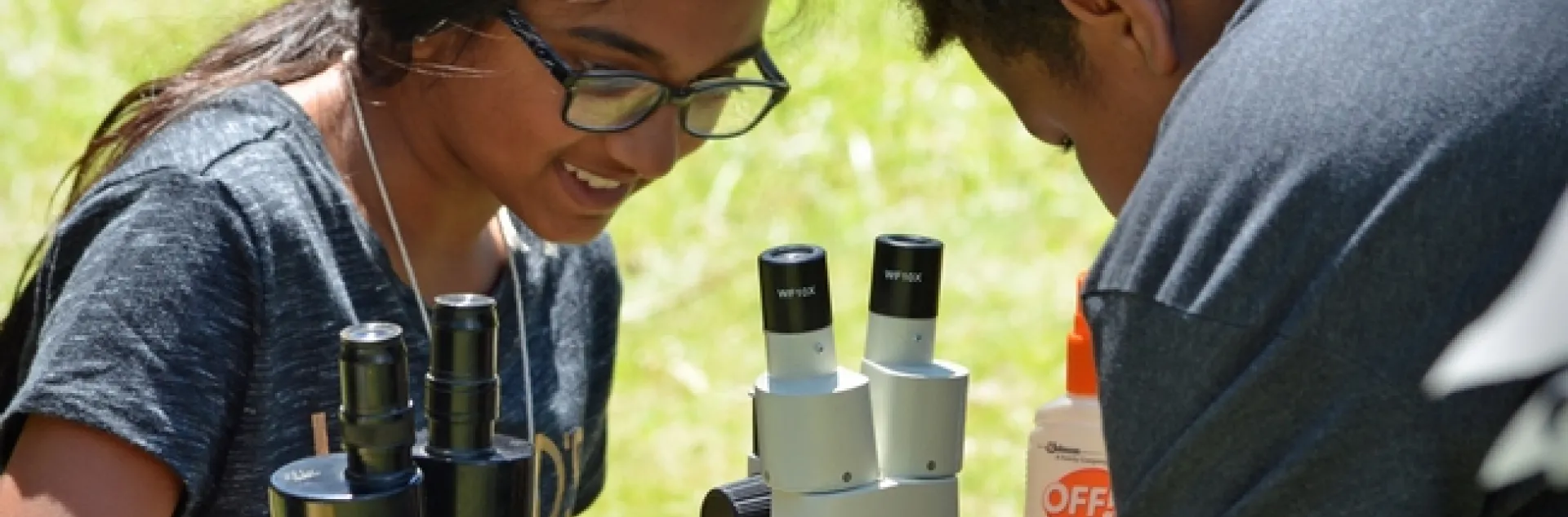 Two young people look at insects under microscopes.