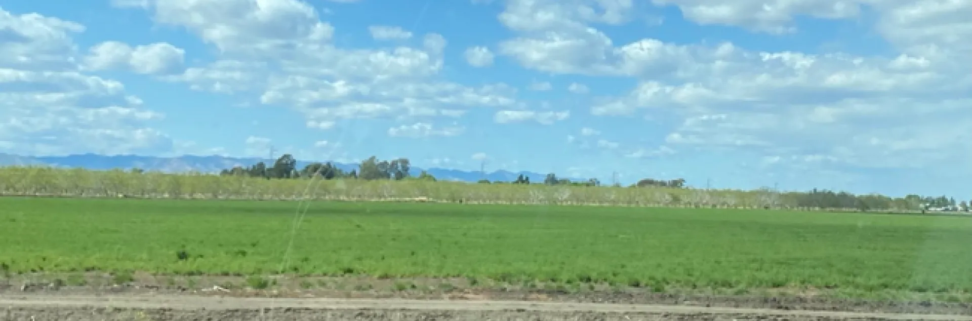 all photos taken in Solano County by Jennifer DeDora