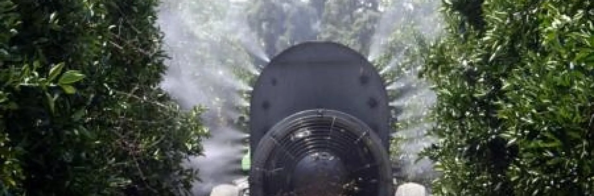 air blast sprayer citrus