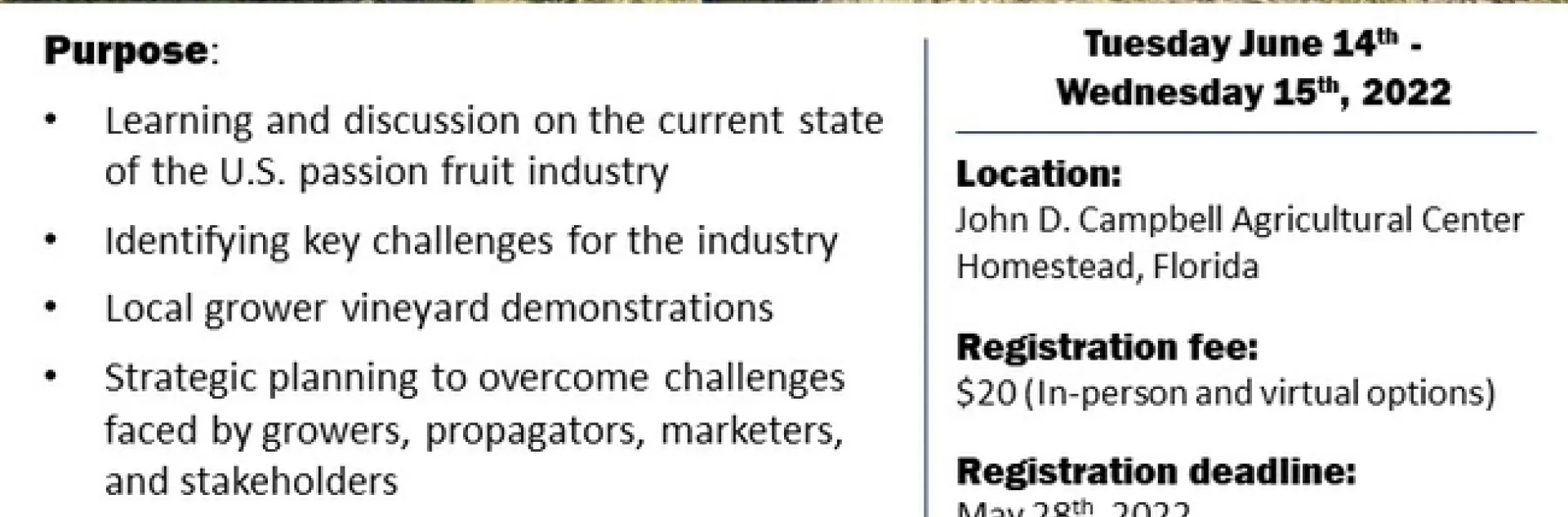 passion fruit offical flyer eng