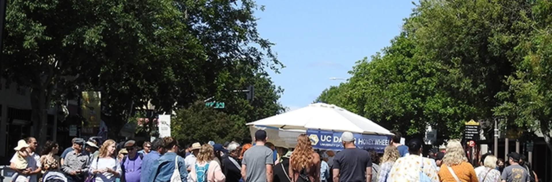 A crowd descends on the California Honey Festival, held last Saturday in downtown Woodland. (Photo by Kathy Keatley Garvey)