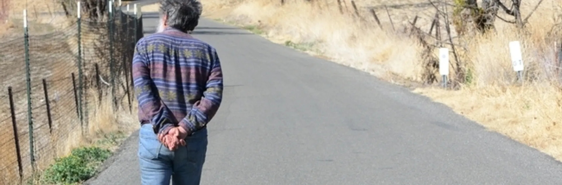 UC Davis distinguished professsor Art Shapiro monitoring his Gates Canyon, Vacaville site. He's been monitoring the butterfly populations of Central California for 50 years. (Photo by Kathy Keatley Garvey)