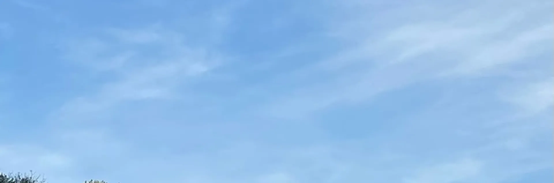 Golden Hills. photo by Mike Gunther