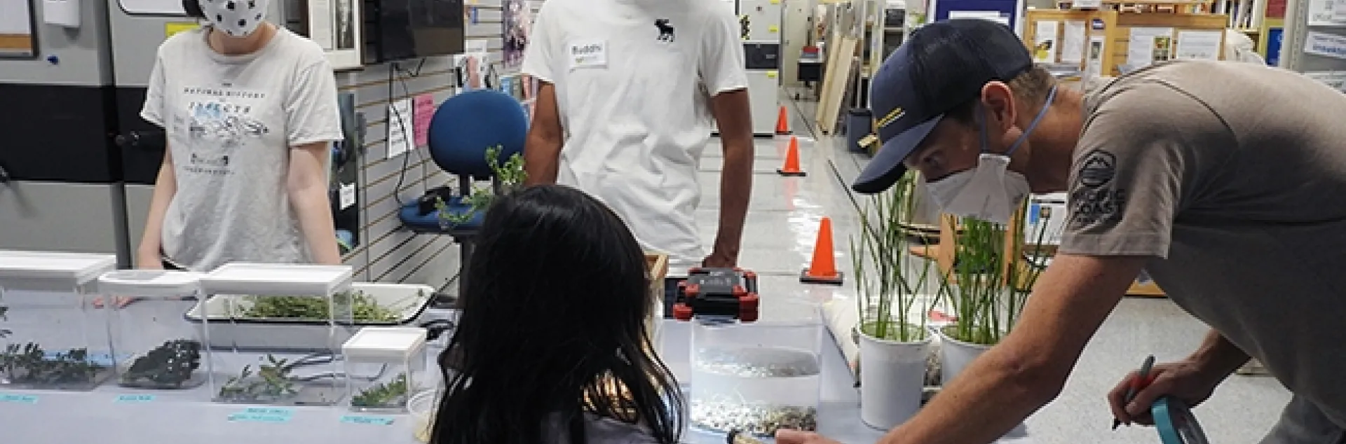 Cooperative Extension specialist Ian Grettenberger (far right) of the UC Davis Department of Entomology and Nematology leans over to talk to a visitor. In back are postdoctoral fellow Buddi Achhami (right) of the Grettenberger lab and UC Davis undergraduate student Omri Livneh. (Photo by Kathy Keatley Garvey)