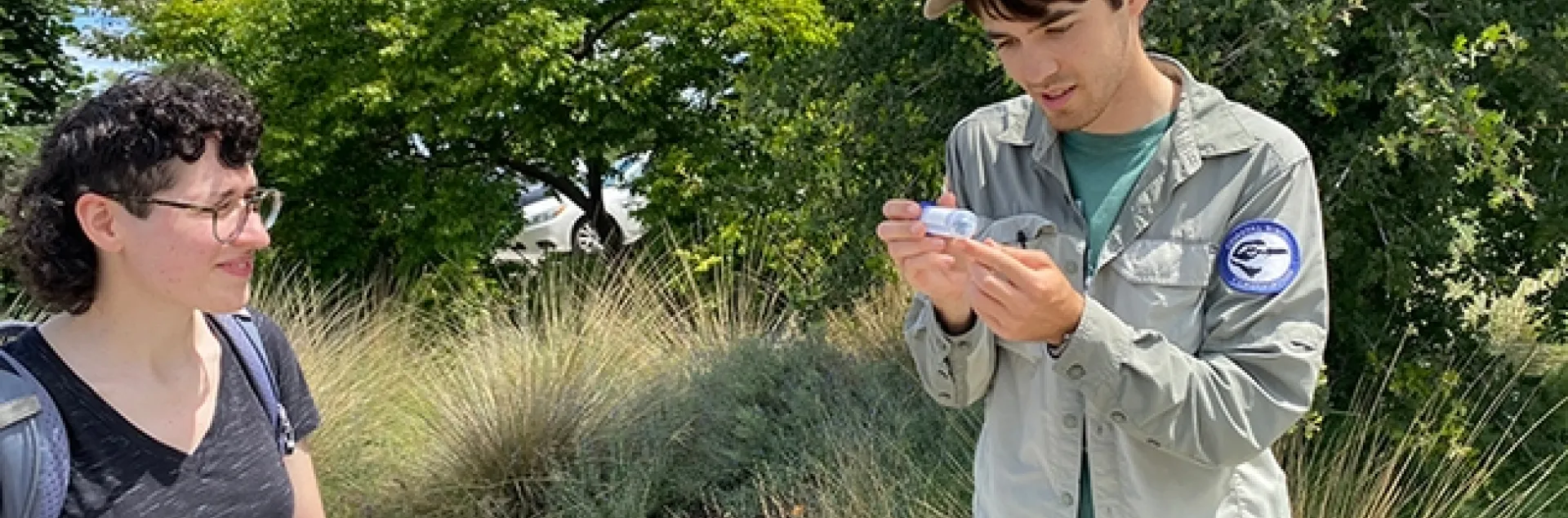 Tour leader Dylan Winkler, bumble bee scientific aide for the CDFWs Wildlife Diversity Program, checks out a bumble bee species. At left is UC Davis doctoral entomology candidate Daniele Rutkowski. (Photo by Cindy McReynolds)
