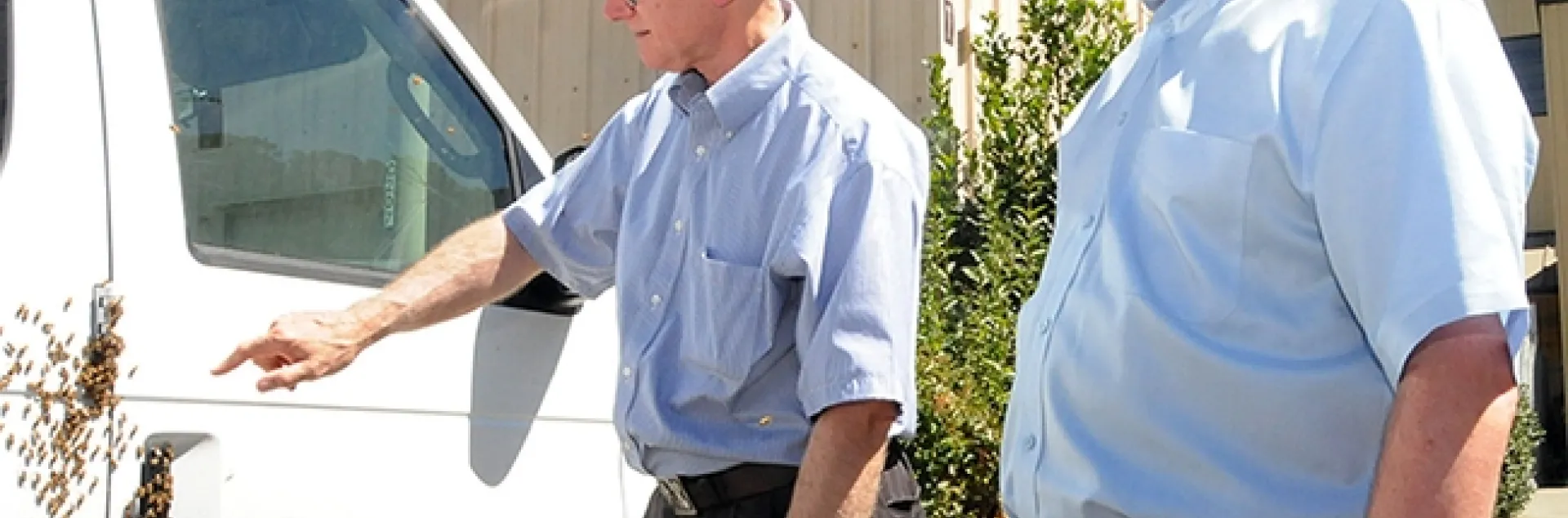 In this image, taken Aug. 1, 2008, Extension apiculturist Eric Mussen (left) talks to vanpool driver Keir Reavie, head of the Biological and Agriculture Sciences Department at Shields Library, about the bees that "hitched" a ride on a commuter van traveling from El Cerrito to the UC Davis campus. (Photo by Kathy Keatley Garvey)